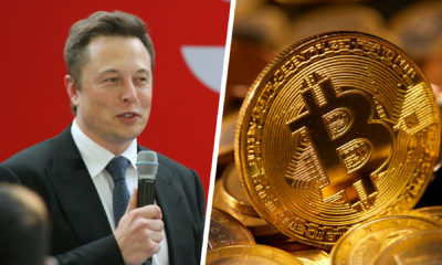 Elon Musk outet sich als Bitcoin-Anhänger – Kurs schießt nach oben