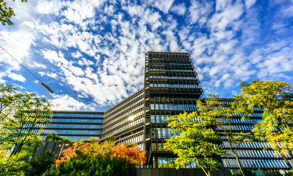 Unternehmen auf der Suche nach Innovationen