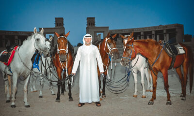 Frank Heister und seine Pferde